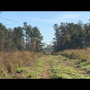 Meet your Posher, Jeffrey